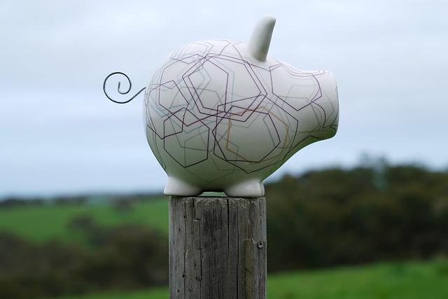 piggy-bank-2878838_640